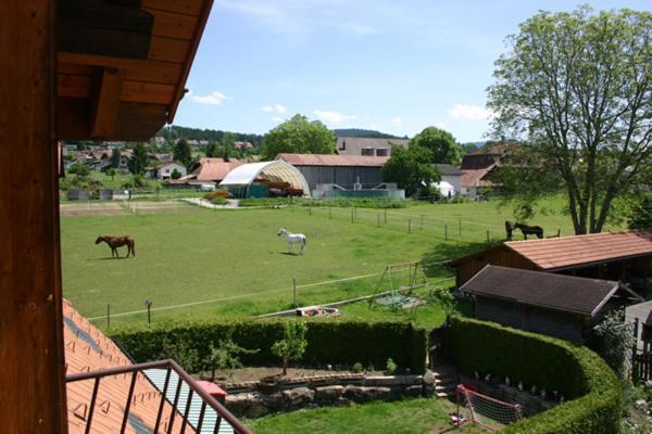 Apartment Simcha Niederwichtrach Екстер'єр фото